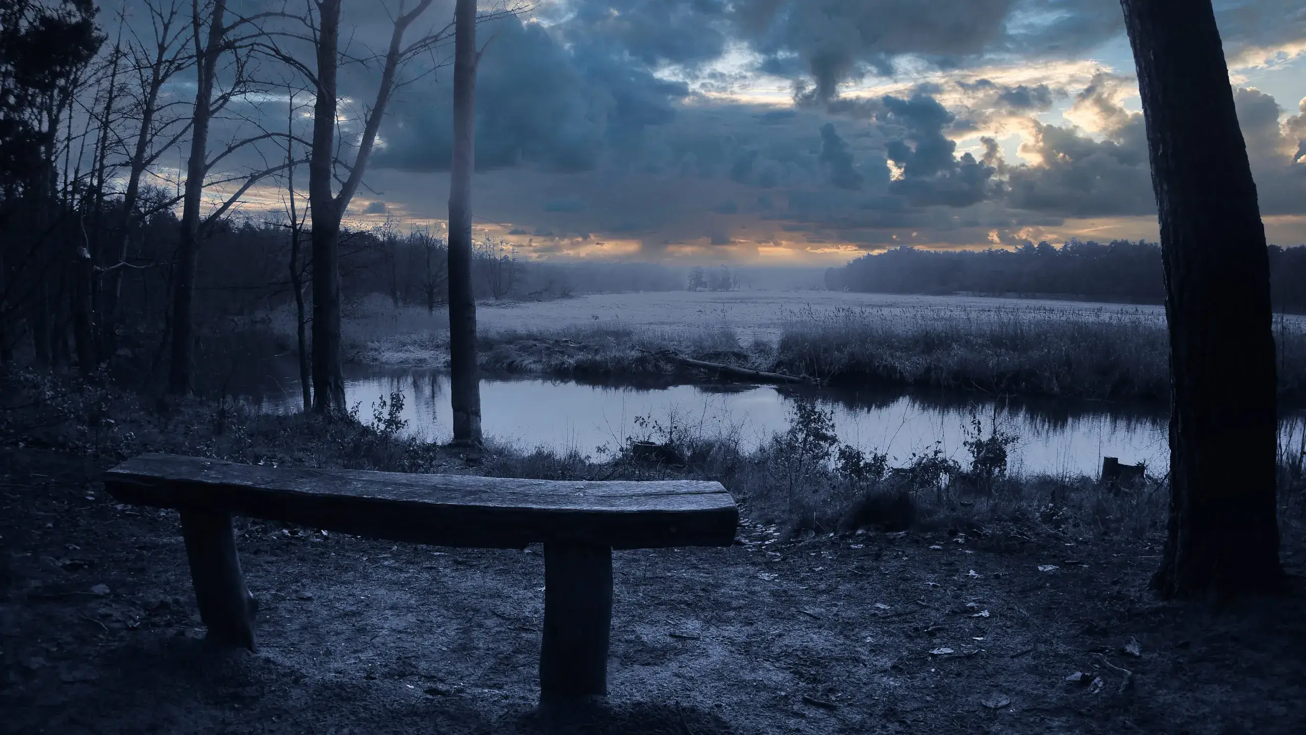 Frostiger Morgen an einer Flussaue